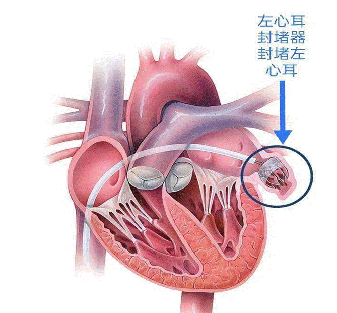 微信图片_20220807225002